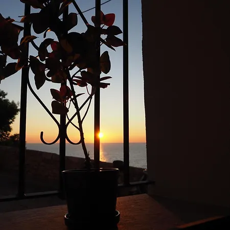 Brisaolea - La Parcela 4* Peñíscola